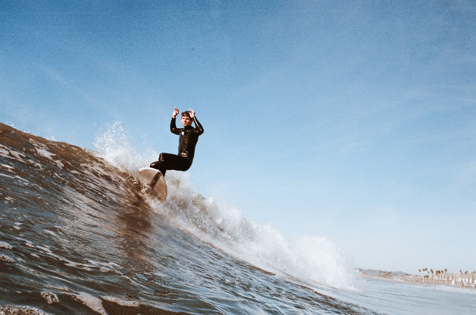 Shortboards & Fishes