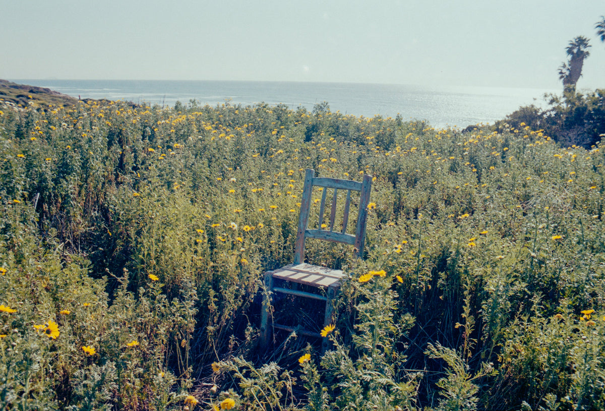 Super Bloom - Spring '26 by Imperfects