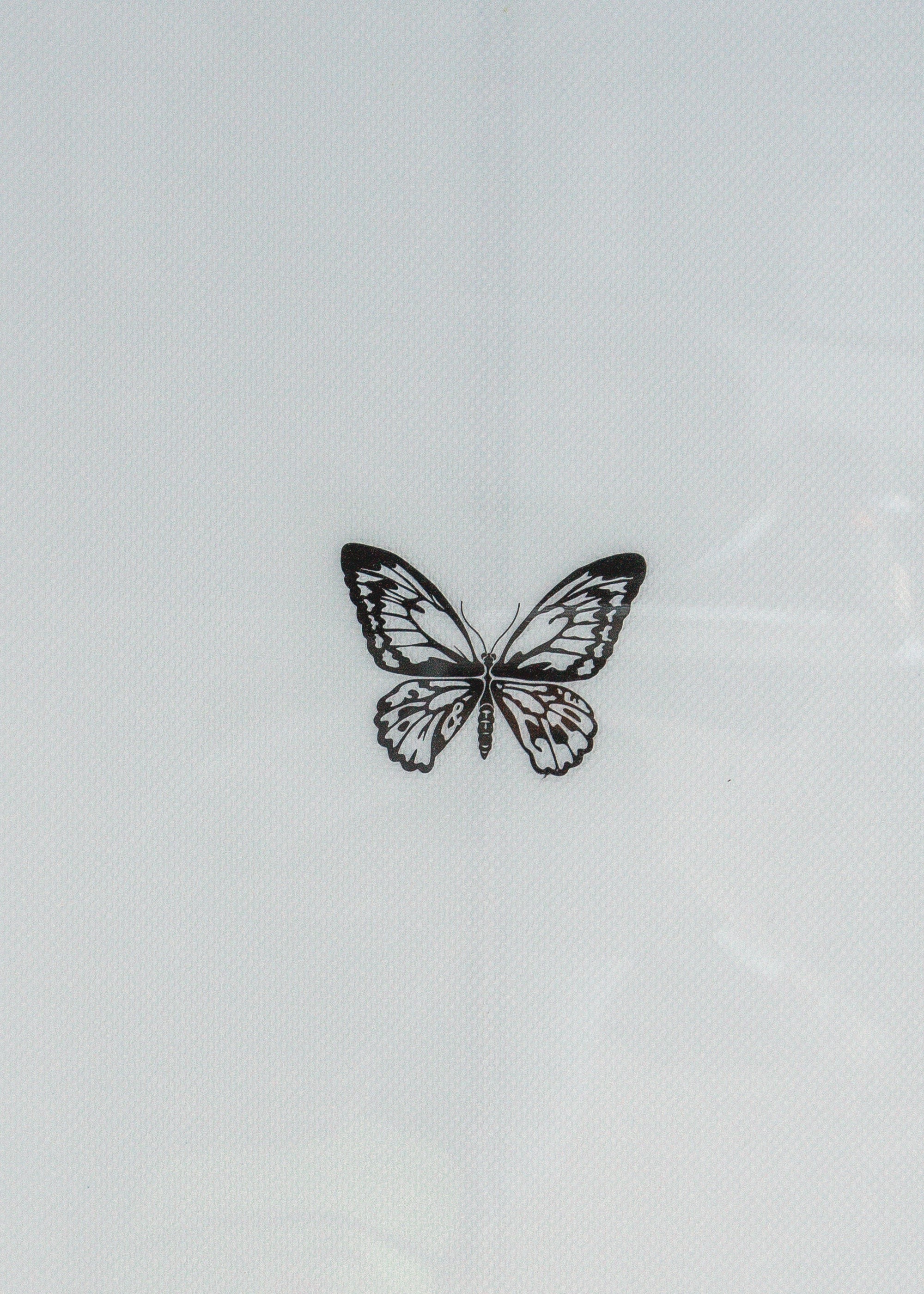 9'2 Monarch Swallow Tail in Opaque White Gloss